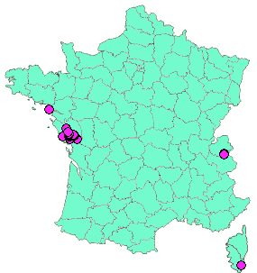 Localisation Geocaches placées par un Geocacheur