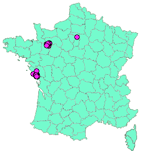 Localisation Geocaches placées par un Geocacheur