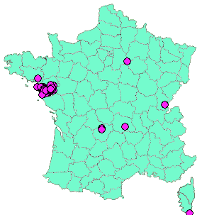 Localisation Geocaches placées par un Geocacheur