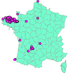 Localisation Geocaches placées par un Geocacheur