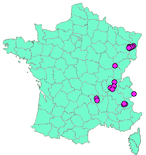 Localisation Geocaches placées par un Geocacheur