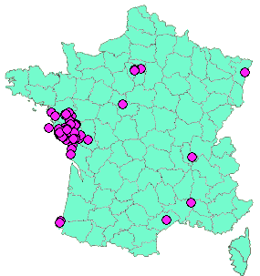 Localisation Geocaches placées par un Geocacheur