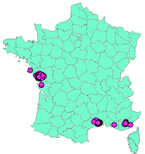 Localisation Geocaches placées par un Geocacheur