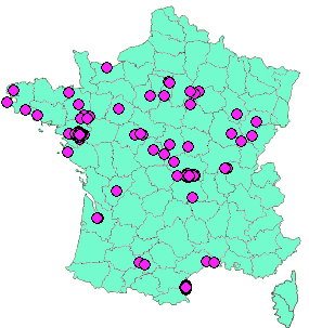 Localisation Geocaches placées par un Geocacheur