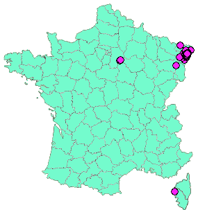 Localisation Geocaches placées par un Geocacheur