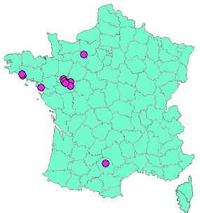 Localisation Geocaches placées par un Geocacheur