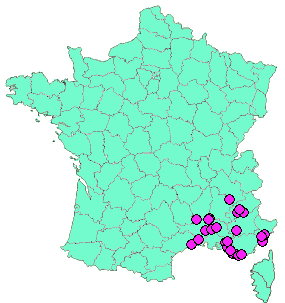 Localisation Geocaches placées par un Geocacheur