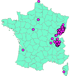 Localisation Geocaches placées par un Geocacheur