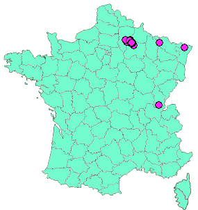 Localisation Geocaches placées par un Geocacheur