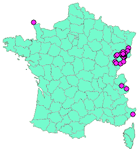 Localisation Geocaches placées par un Geocacheur