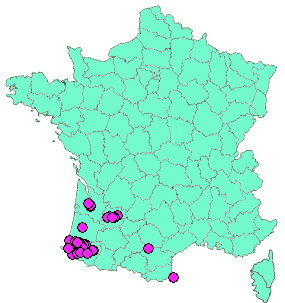 Localisation Geocaches placées par un Geocacheur