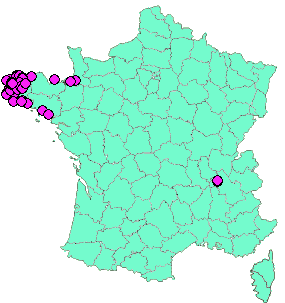 Localisation Geocaches placées par un Geocacheur