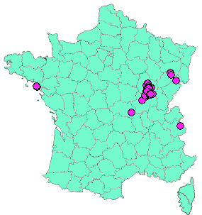 Localisation Geocaches placées par un Geocacheur