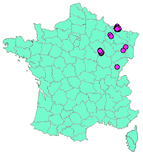 Localisation Geocaches placées par un Geocacheur