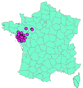 Localisation Geocaches placées par un Geocacheur