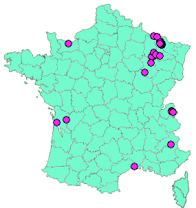 Localisation Geocaches placées par un Geocacheur