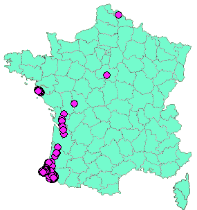 Localisation Geocaches placées par un Geocacheur