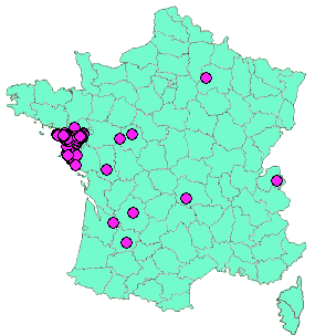 Localisation Geocaches placées par un Geocacheur