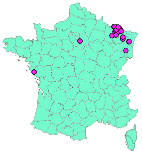 Localisation Geocaches placées par un Geocacheur