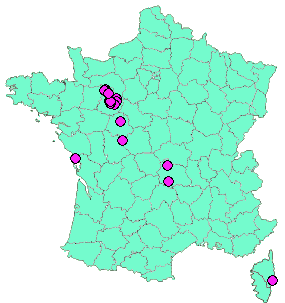 Localisation Geocaches placées par un Geocacheur