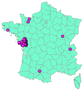 Localisation Geocaches placées par un Geocacheur