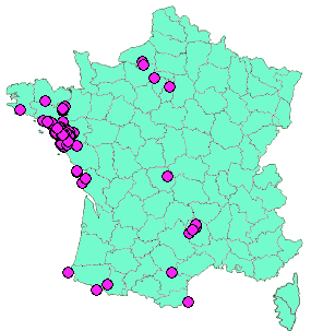 Localisation Geocaches placées par un Geocacheur