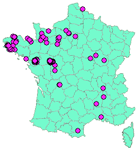 Localisation Geocaches placées par un Geocacheur