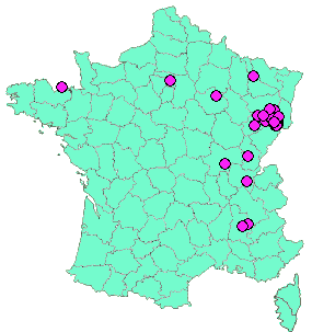 Localisation Geocaches placées par un Geocacheur