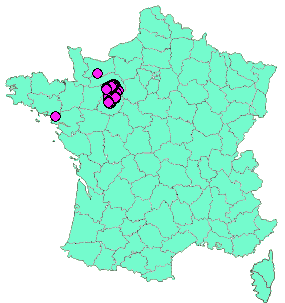 Localisation Geocaches placées par un Geocacheur