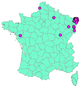 Localisation Geocaches placées par un Geocacheur