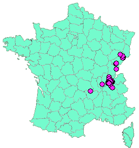 Localisation Geocaches placées par un Geocacheur