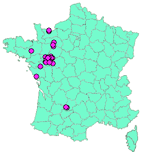 Localisation Geocaches placées par un Geocacheur