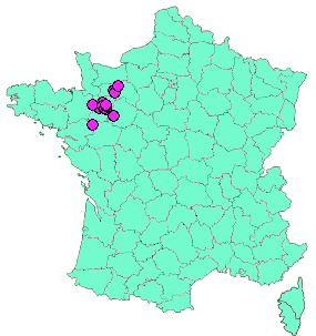 Localisation Geocaches placées par un Geocacheur