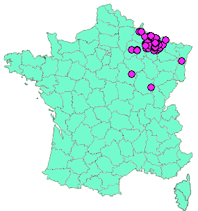 Localisation Geocaches placées par un Geocacheur