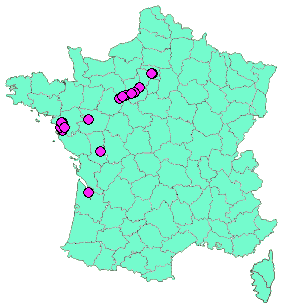 Localisation Geocaches placées par un Geocacheur