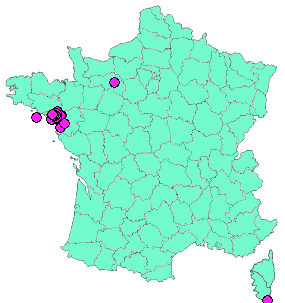 Localisation Geocaches placées par un Geocacheur